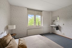 Tormentil 5 Castricum De Groot 29.JPG